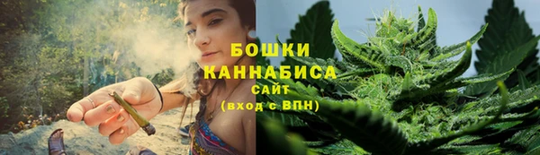 ешки Арсеньев