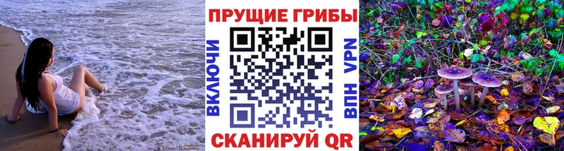 Псилоцибиновые грибы MAGIC MUSHROOMS  Борисоглебск 